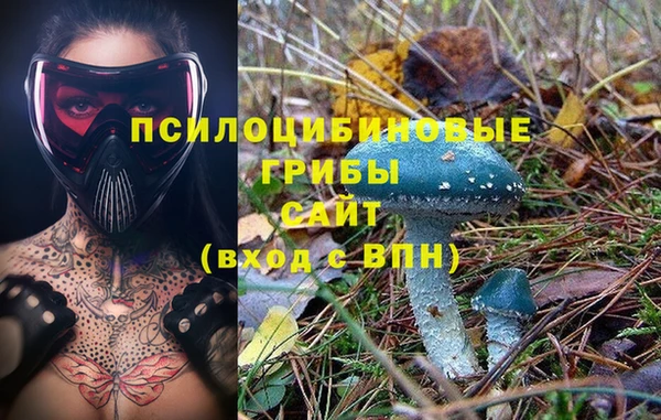 MDMA Дмитров