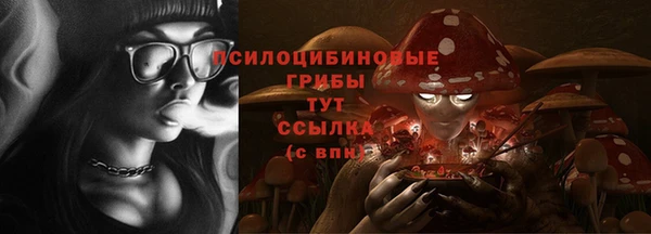 ГАЛЛЮЦИНОГЕННЫЕ ГРИБЫ Дмитровск
