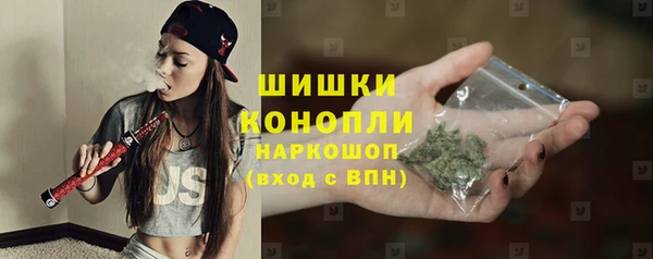 ГАЛЛЮЦИНОГЕННЫЕ ГРИБЫ Дмитровск