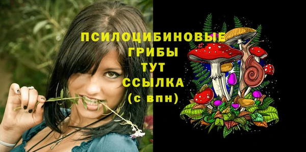 ГАЛЛЮЦИНОГЕННЫЕ ГРИБЫ Дмитровск